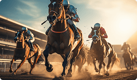crown99-understanding-the-different-real-money-bet-types-at-crown99-crown99-horse-race-betting-img
